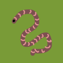 blorbo-the-worm avatar