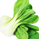 bokchoyyo avatar