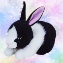 bunnyplush avatar