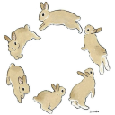 bunnys-bellies avatar