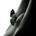 butterfly6501 avatar