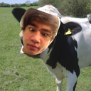 cal-moo avatar