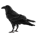 captaincorvid avatar