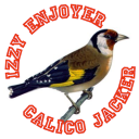 carduelis-carduelis avatar