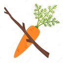 carrotandstickplancewipbang avatar