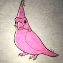 casualbirdnoise avatar