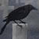 catbirdstations avatar