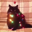 catmastree avatar