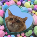 catnipnotreality avatar