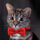 catsieawards avatar