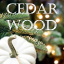 cedar--wood avatar