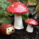 ceramictoadstool avatar