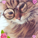 cherielovescats-blog avatar