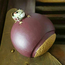 chestnut-frog avatar