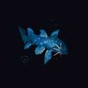 coelacaenth avatar