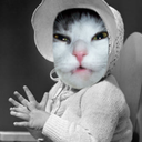 colonialcats avatar