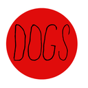 colored-dogs avatar