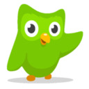 concerningduolingo avatar