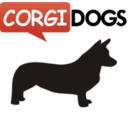 corgidogsorg avatar