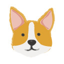 corgiexpress avatar