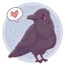 corvidsandcrows avatar