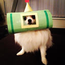 cosplaydog avatar