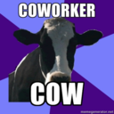 coworkercomplaints avatar