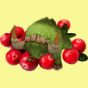 cranberry-crawg avatar