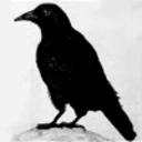 crowstudy avatar