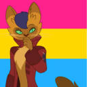 dapperpaws avatar