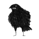 dawningcrow avatar