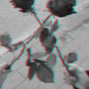 dieting-roses avatar