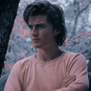 dingusteveharrington avatar