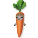 disappointed-carrot-mush avatar