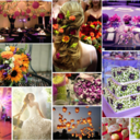 disneyweddingboards-blog avatar