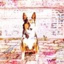 dogwooddogs avatar