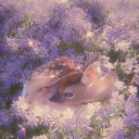 dreaming-of-lilacs avatar