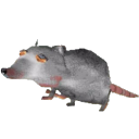 dreamrats avatar