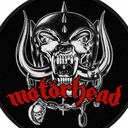 drmetalhead72 avatar