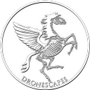 dronescapesvideos avatar