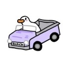 duckinatruck avatar