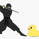 ducksandninjas avatar