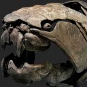 dunkleosteus-stan avatar