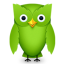 duolingo avatar