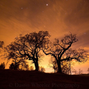 dustinwheelerphotography avatar