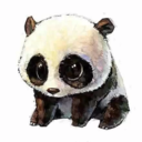 dwpanda avatar