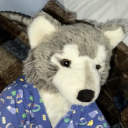 ebaywolfplush avatar