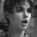 edie----sedgwick avatar