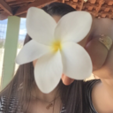 enfloras-blog avatar