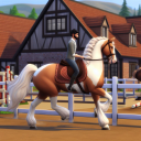 equestrian-essencials avatar